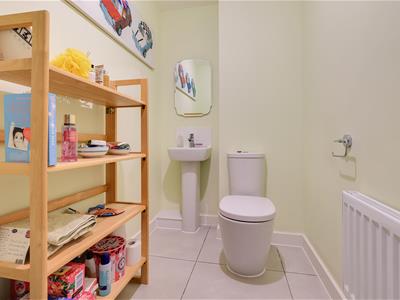 Picture 7